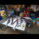 Die Auslage eines anderen Fischstandes